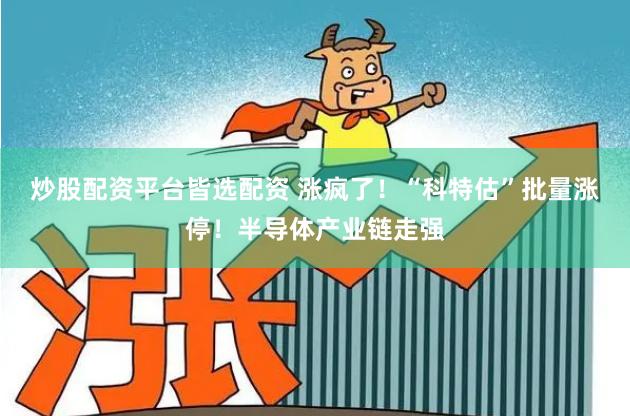 炒股配资平台皆选配资 涨疯了！“科特估”批量涨停！半导体产业链走强