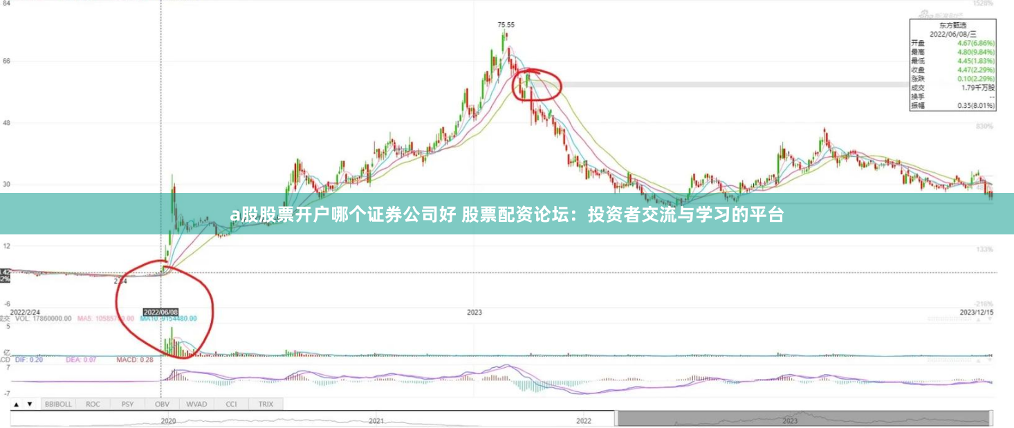a股股票开户哪个证券公司好 股票配资论坛：投资者交流与学习的平台