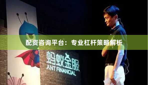 配资咨询平台：专业杠杆策略解析
